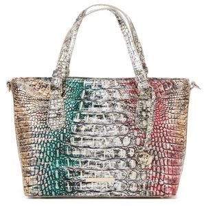 brahmin carnival ombre